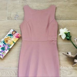 Blush Mermaid Fit Dress